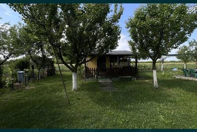 Teren de 10000 mp, în Pișchia - 1