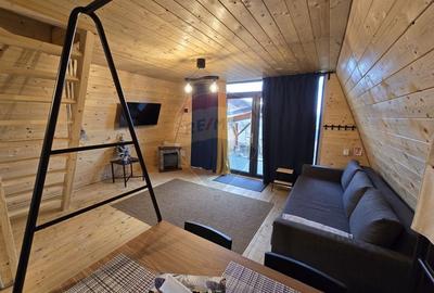 Proprietate Speciala in Gura Raului, Sibiu - Doua Cabane A-Frame - 11