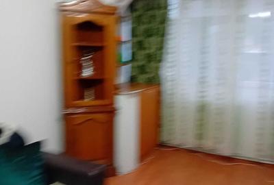 Apartament cu 2 camere în Calea Caransebeșului - 13