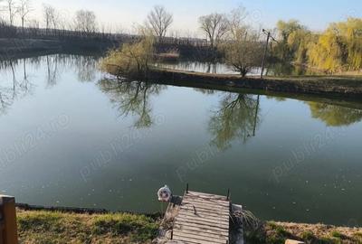Casă cu Teren 15136 Mp în Central - 4