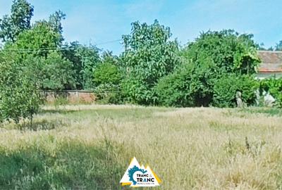 Casă spațioasă cu 4 camere de vânzare – Comuna Aluniș, județul Arad - 18