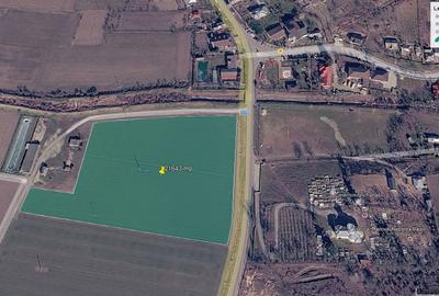 Teren de 21643 mp, în Tamași