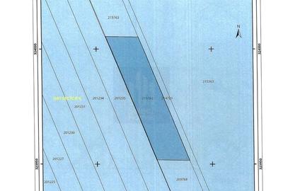 Teren 900mp | Urbanism | Vanzare | Prelungirea Ghencea | - 5