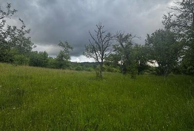 Teren de 30 mp, în Preluca Veche - 8