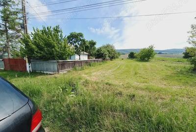 Teren de 4500 mp, în Siliștea - 1