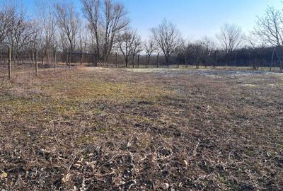 Casă cu 1 camere în Niuved - 7