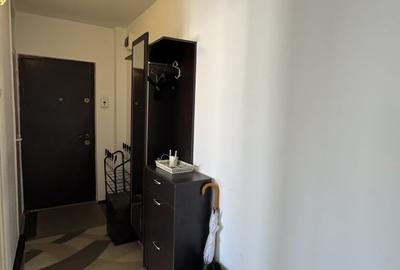 Apartament cu 2 camere decomandat, mobilat în Zorilor - 13