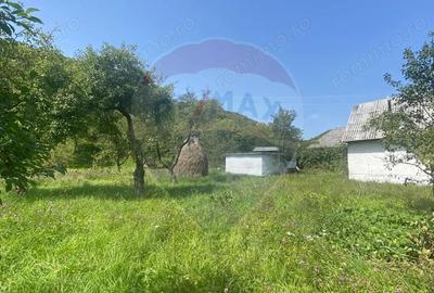 Teren de vanzare Baia Mare / Strada Firiza - 1