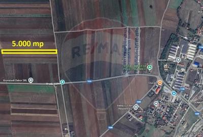 Teren de 5000 mp, în Tărlungeni - 3