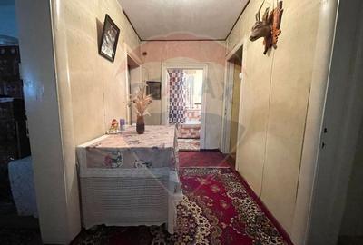 Casă individuală cu 3 camere cu Garaj în Oancea - 20