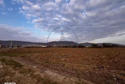 Teren de 2500 mp, în Șieu - 3