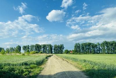 Teren rezidential langa lac Snagov in Silistea Snagovului iesire A3