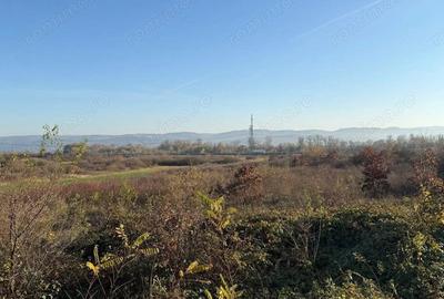 Teren extravilan in total 18.532 mp in Sat Gurasada, Jud. HD. - 5