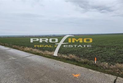 Teren de 4200 mp, în Corbu - 7