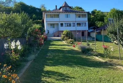 Spatiu comercial birouri de inchiriat - 5