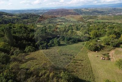 Teren Construcții intravilan de 16500 mp, în Măgureni - 7