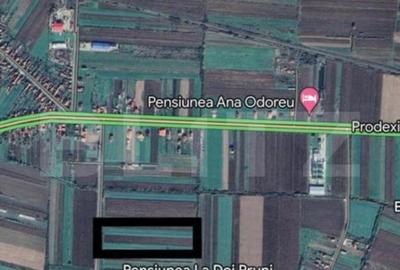 Teren Intravilan 2 ha, Berindan - 1