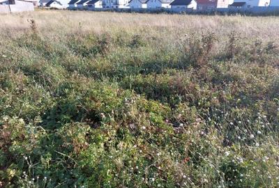 Comuna berceni ,str Miorita Comuna berceni ,str Miorita - 3