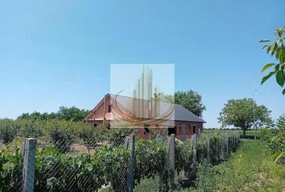 Teren de 16000 mp, în Belinț - 17