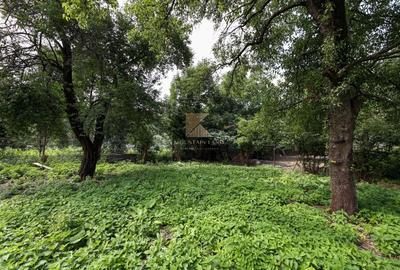 Casă renovată, teren 394 mp – Râșnov, str. Misu Popp, zonă centrală - 20