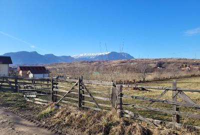 Teren Construcții intravilan de 4200 mp, în Tohanu Nou