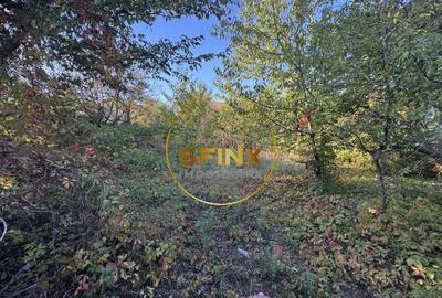 Teren Otopeni, Ferme C - 2