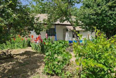 Casă cu 2 camere în Băltenii de Jos - 2