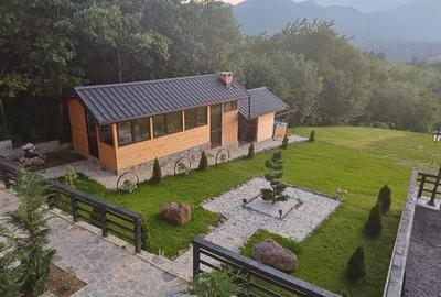 Rezidenta/ Pensiune, montana cu vedere panoramica, Bran, Brasov - 4