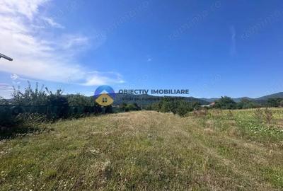 Teren intravilan de vanzare 1.688 mp, Dumbrava Ro?ie - 3