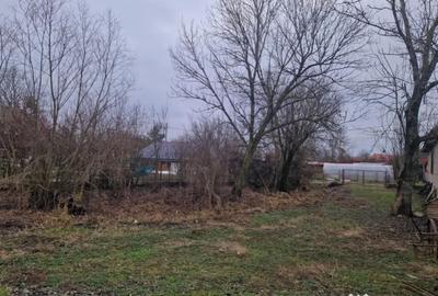 Casă cu 3 camere cu Teren 1800 Mp în Mogoșești - 2