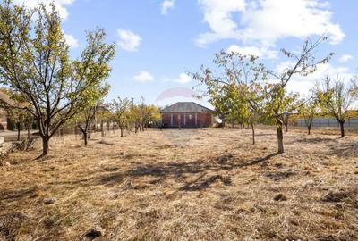 Casă cu 2 camere cu Teren 476 Mp în Șofronea - 10