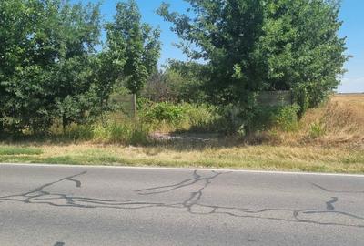 Teren de 5000 mp, în Exterior Vest - 1