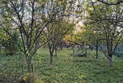 De vânzare casă cu teren 770 mp, în Dâmbul Rotund - 12