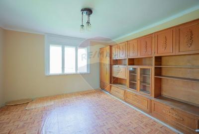 Casa cu 4 camere de vanzare  si teren 4063 mp, in Ineu, Bihor - 5