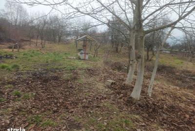 Teren de 1500 mp, în Goranu - 2