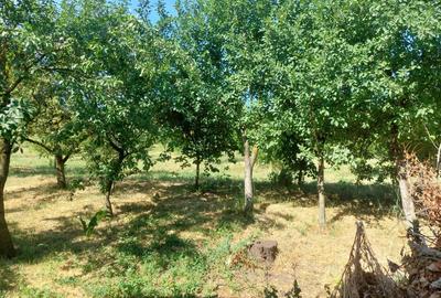 Casă cu 3 camere în Frata - 1