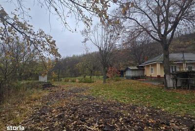 Spațiu comercial, în Tomești - 2