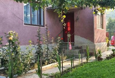 Casă cu 3 camere în Bord - 4