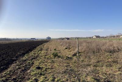 Spațiu comercial, în Valu lui Traian - 1