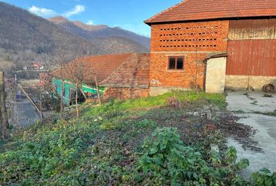 Casă cu 6 camere cu Teren 1000 Mp în Armeniș - 8