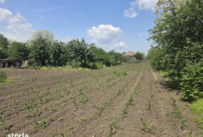Casă cu 3 camere cu Teren 2100 Mp în Dor Mărunt - 16