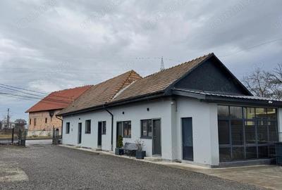 Depozitelor- Vanzare spatiu comercial + teren + hala - Str. Caminului - 4