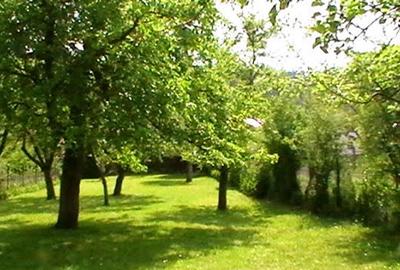 PROPRIETATE: 1500 mp, cu casa saseasca autentica, in Cristian, Brasov - 10