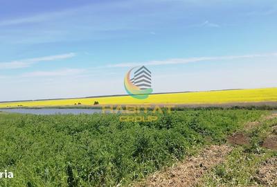 Spațiu comercial, în Frumușani - 5