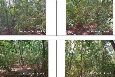 Teren extravilan padure, cota parte de 1/48 Horgesti, ID: R2325836 - 8