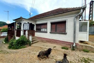 Casa renovata cu teren 7000mp la 19 km de Deva Sat Nojag, Hunedoara - 6