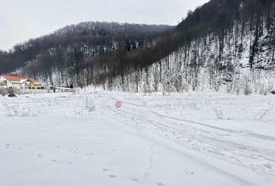 Teren de 800 mp, în Bunloc - 6