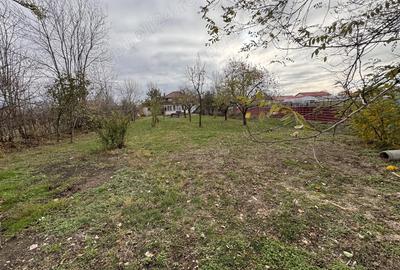 Casă cu 4 camere cu Teren 2041 Mp în Dragșina - 3