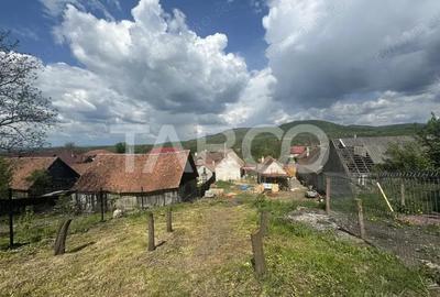 Casa de vanzare 2 camere 43 mpu teren liber 974 mp Venetia de Sus - 4