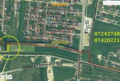 Teren de 1302 mp, în Buziașului - 3